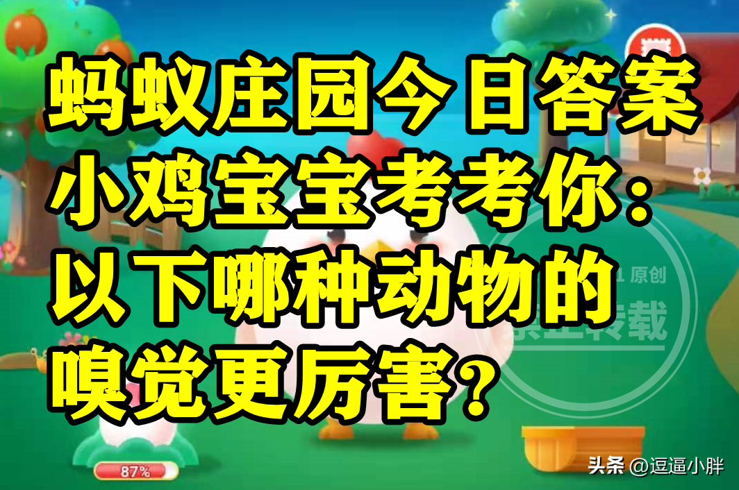 蚂蚁庄园哪种动物嗅觉更厉害（蚂蚁庄园嗅觉最厉害的动物是哪个正确答案解析）