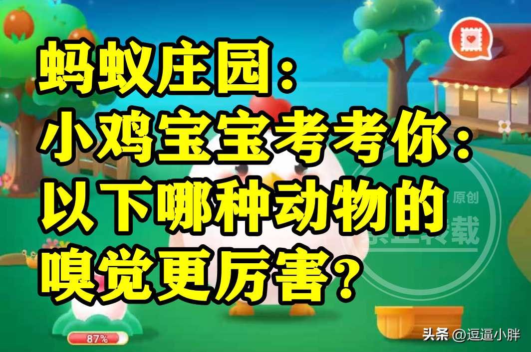 蚂蚁庄园哪种动物嗅觉更厉害（蚂蚁庄园嗅觉最厉害的动物是哪个正确答案解析）